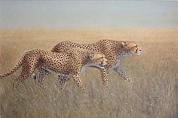 Spotting the prey - Cheetahs by Josephine Smith